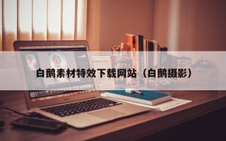 吉安白鹅素材特效下载网站（白鹅摄影）